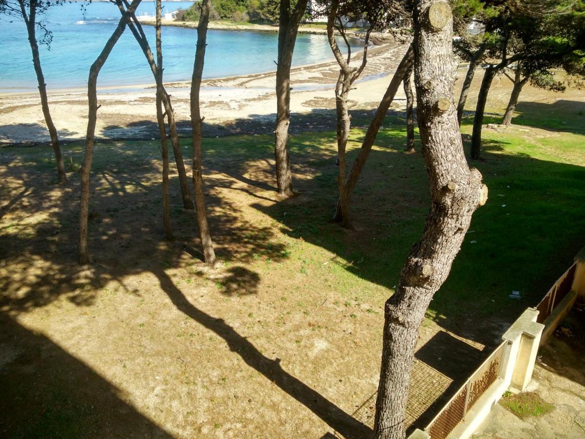 Frontemare Davide Apartment