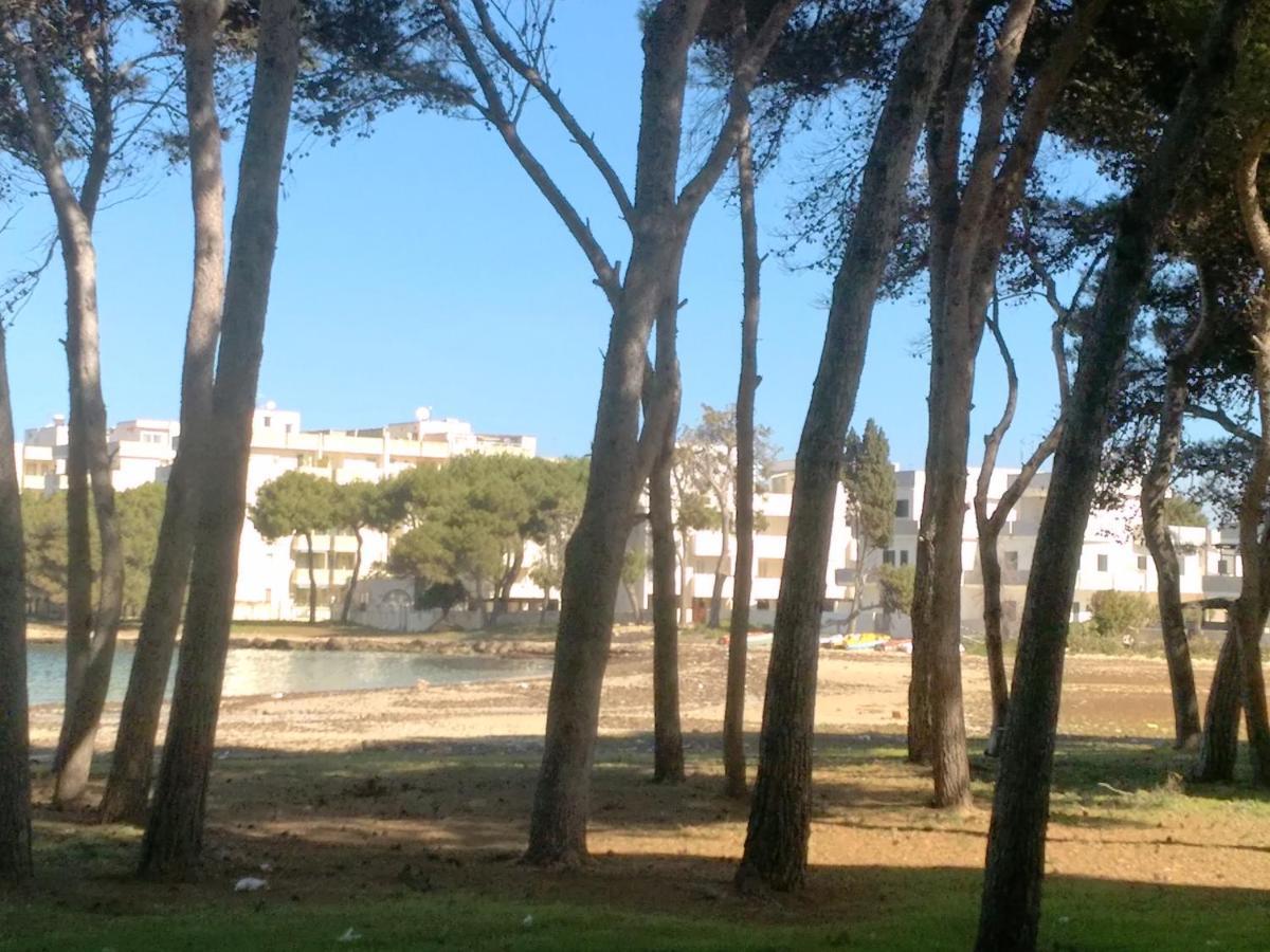 Frontemare Davide Apartment