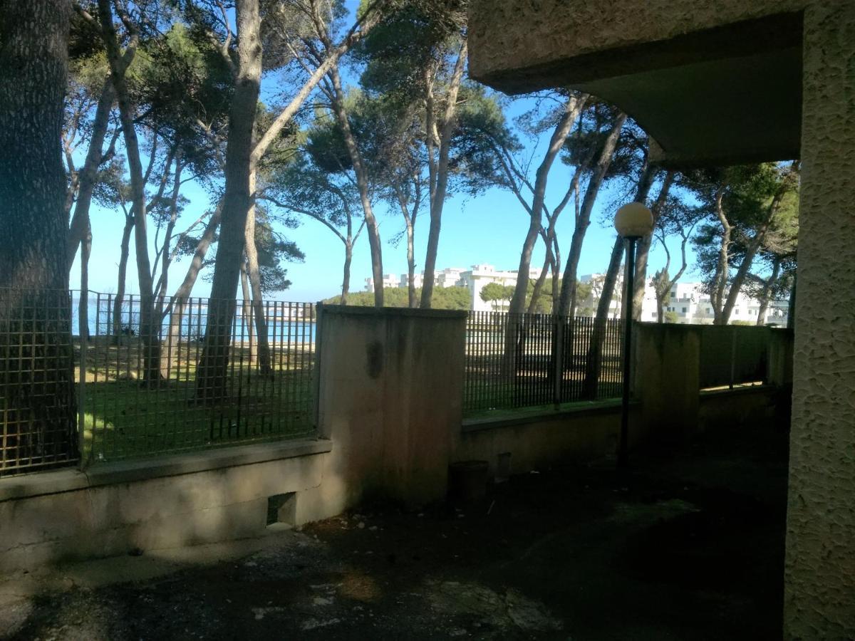 Apartment Frontemare Davide *